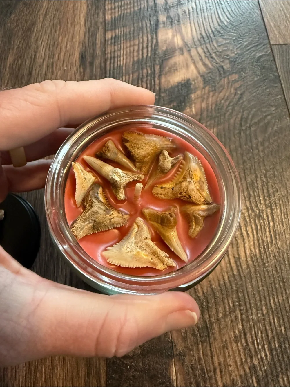 Shark tooth candle, shark teeth candle, shark candle, apple candle, shark week